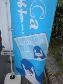 「IruCa」のノボリ